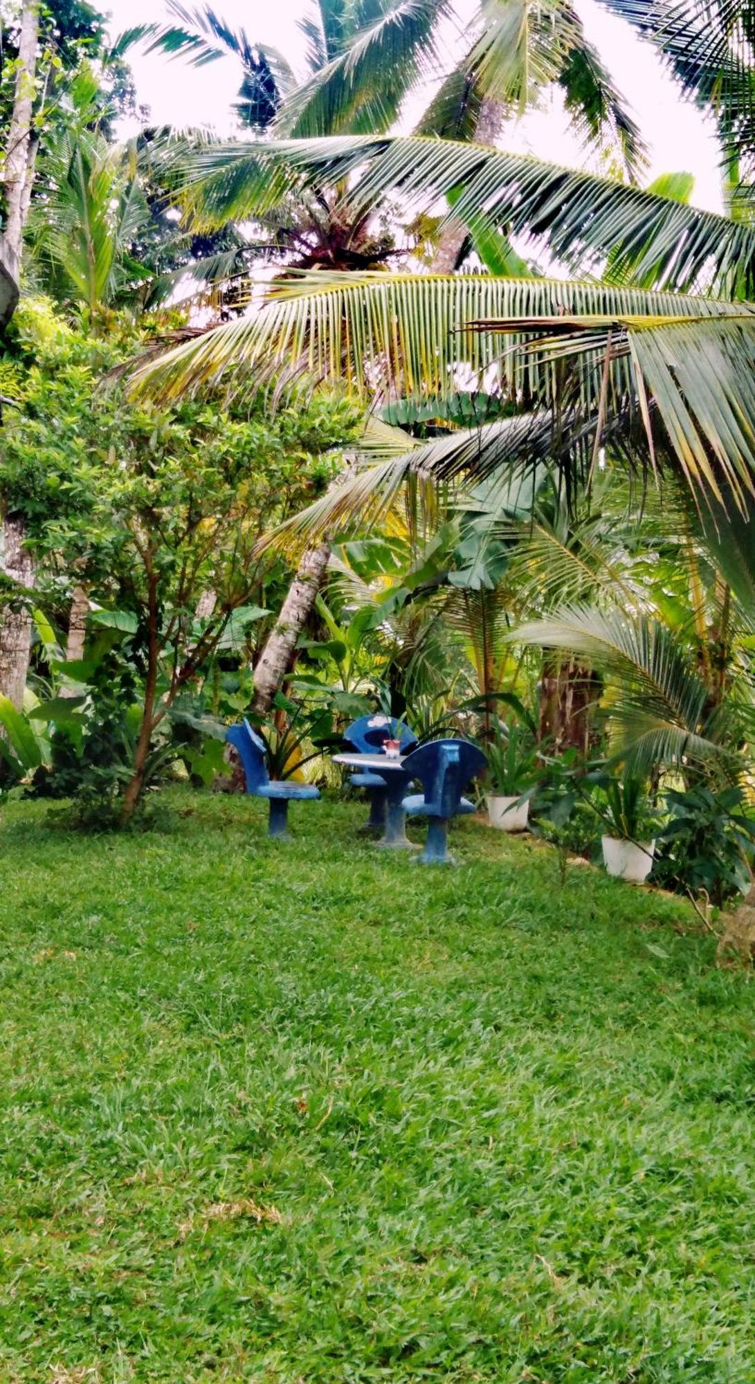 Field Island Villa - Ahangama Dış mekan fotoğraf