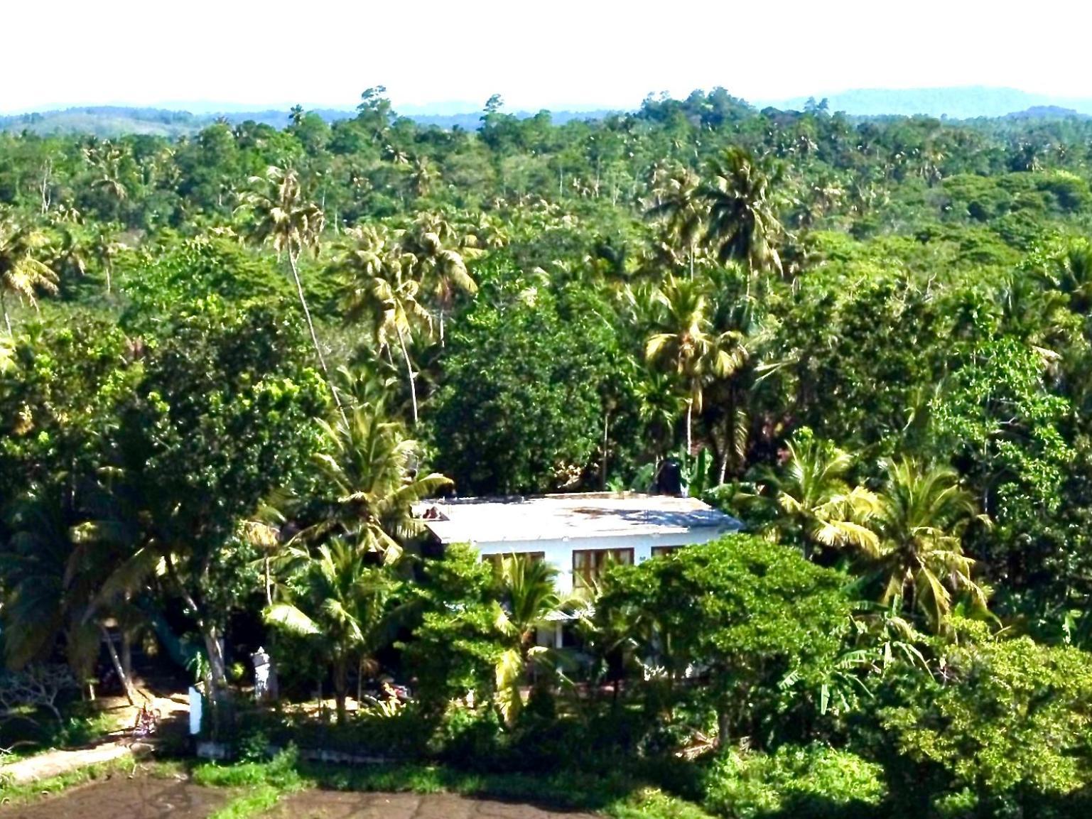 Field Island Villa - Ahangama Dış mekan fotoğraf