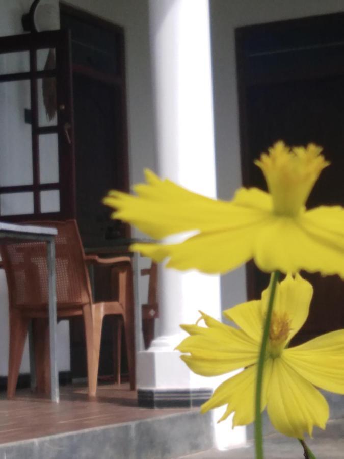 Field Island Villa - Ahangama Dış mekan fotoğraf