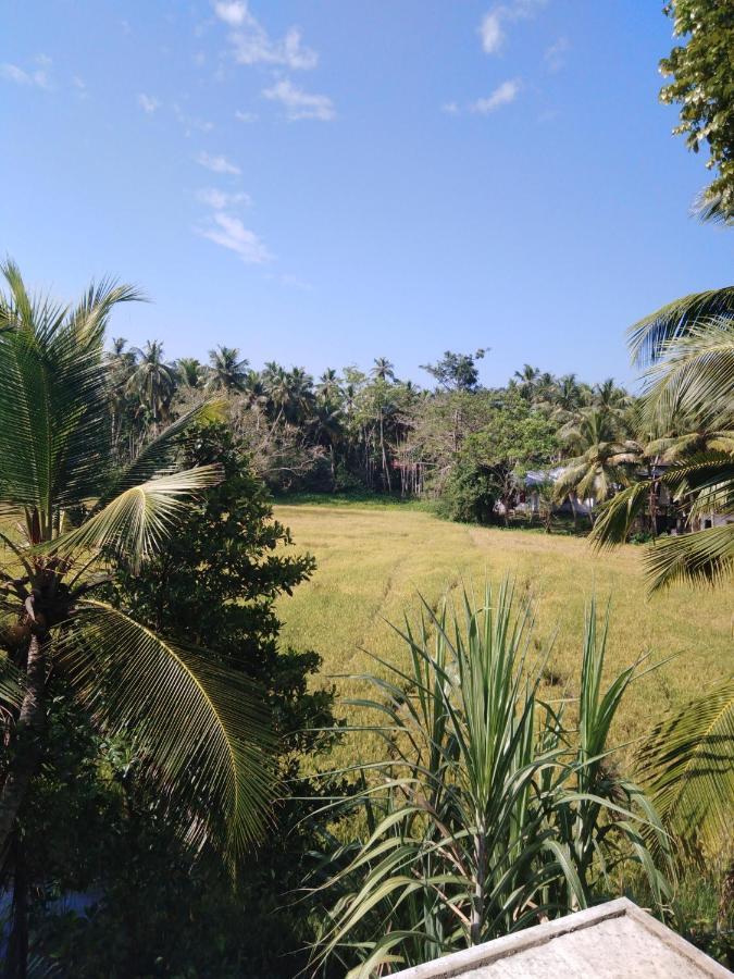 Field Island Villa - Ahangama Dış mekan fotoğraf